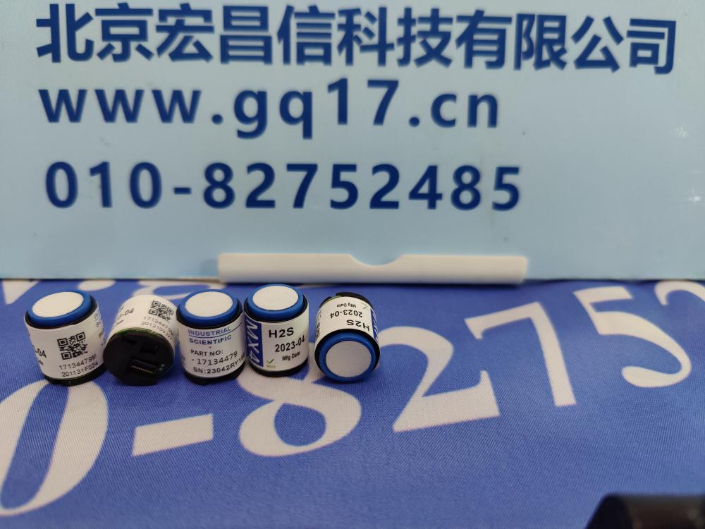 美国英思科MX4 硫化氢(H2S)传感器 17134479
