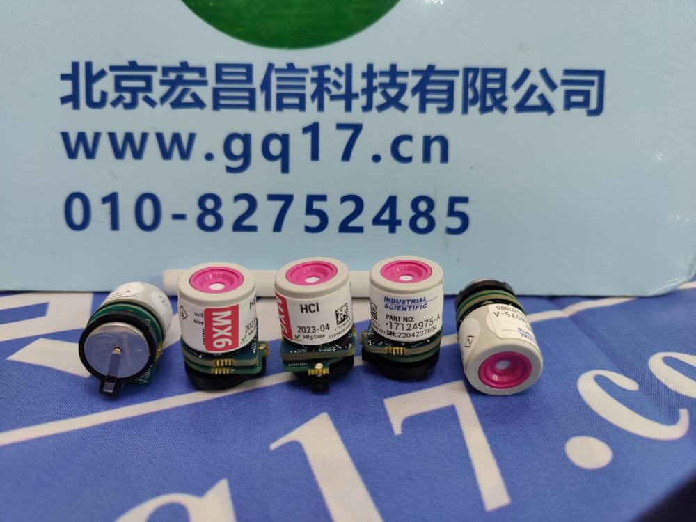 美国英思科 MX6 氯化氢(HCL)传感器 17124975-A